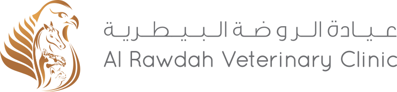 Al Rawdah Clinic